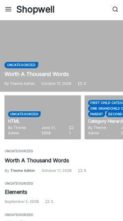 Shopwell (screenshot mobile)