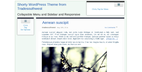 Shorty (WordPress)