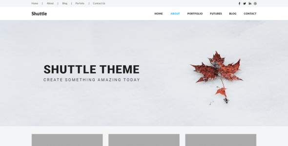 Shuttle Clean (WordPress)