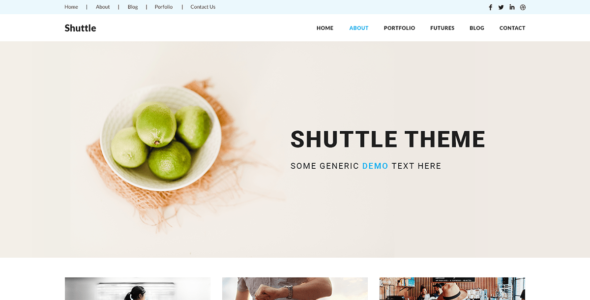Shuttle eStore (WordPress)