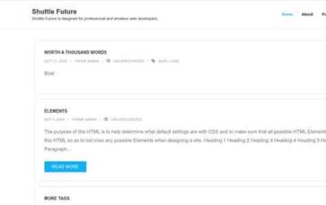 Shuttle Future (screenshot desktop)