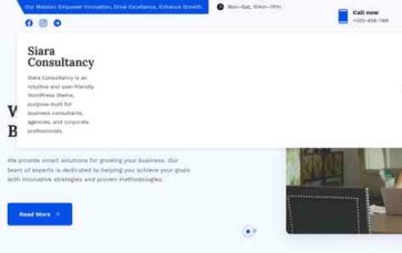 Siara Consultancy (screenshot desktop)