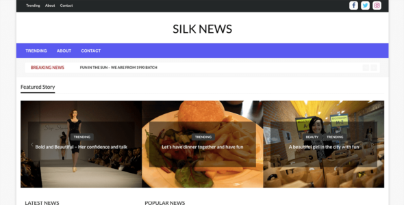 Silk News (WordPress)