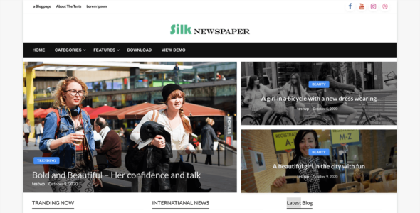 Silk Newspaper (WordPress)