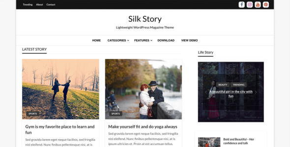 Silk Story (WordPress)