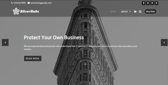 Silver Hubs (WordPress)