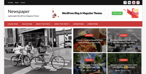 Simple Newspaper (WordPress)