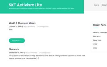 Screenshot Desktop SKT Activism Lite (screenshot desktop)