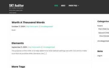 SKT Auditor (screenshot desktop)