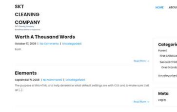 SKT Cleaning Company (screenshot desktop)