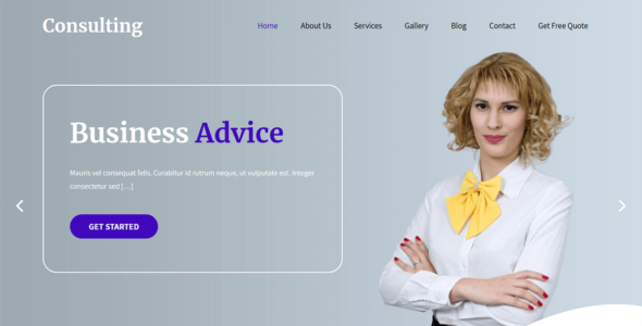SKT Consulting (WordPress)