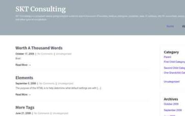 SKT Consulting (screenshot desktop)