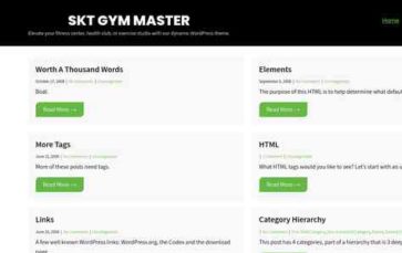 SKT Gym Master (screenshot desktop)