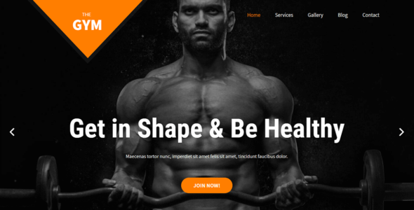 SKT Gym (WordPress)