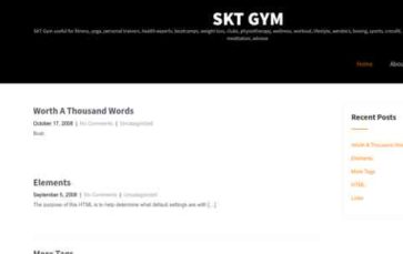SKT Gym (screenshot desktop)