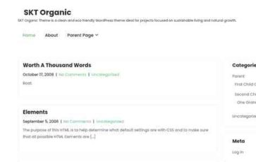 Screenshot Desktop SKT Organic (screenshot desktop)