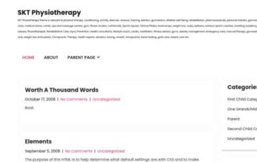 SKT Physiotherapy (screenshot desktop)