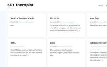 Screenshot Desktop SKT Therapist (screenshot desktop)