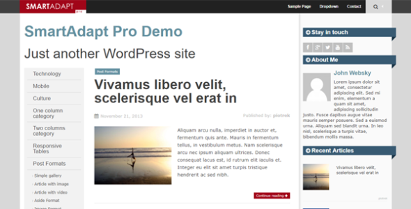 SmartAdapt (WordPress)