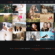 Soara Portfolio Gallery (WordPress)
