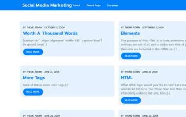 Social Media Marketing (screenshot desktop)