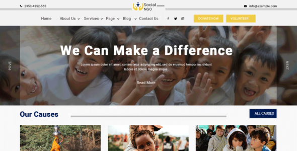 Social NGO (WordPress)
