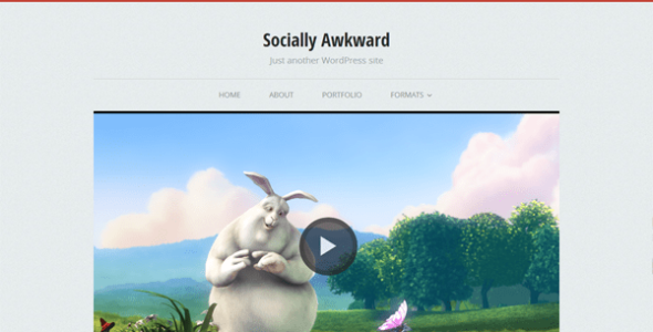 Socially Awkward (WordPress)