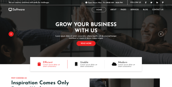 Software Company Elementor (WordPress)