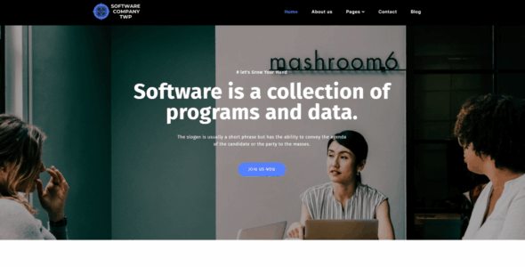 Software Company TWP (WordPress)