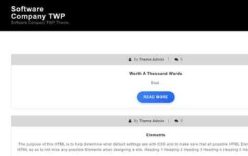 Software Company TWP (screenshot desktop)