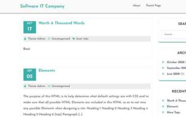 Software IT Company (screenshot desktop)