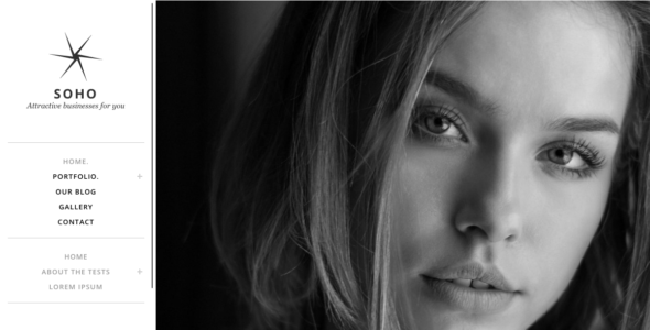 Soho Lite (WordPress)