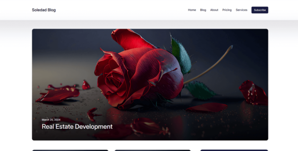 Soledad Blog Lite (WordPress)