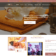 Spa Centric (WordPress)