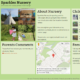 Sparkles Nursery (WordPress)