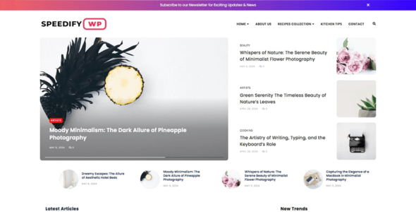 Speedify (WordPress)