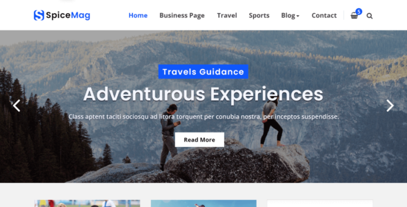 SpiceMag (WordPress)