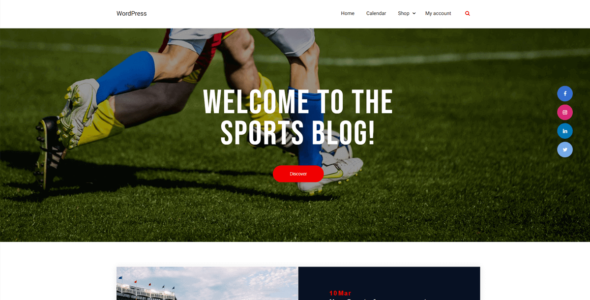 Sports Blogger (WordPress)