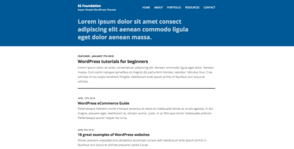 SS Foundation (WordPress)