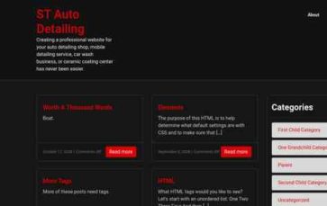 ST Auto Detailing (screenshot desktop)