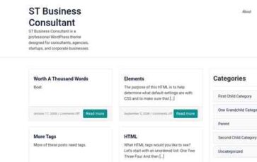 ST Business Consultant (screenshot desktop)