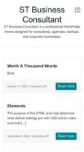 ST Business Consultant (screenshot mobile)