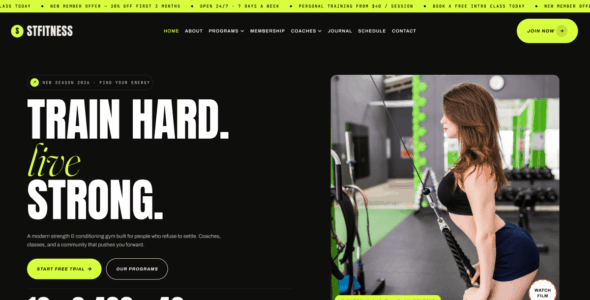 ST Fitness (WordPress)