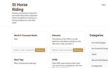 St Horse Riding (screenshot desktop)