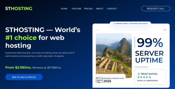 ST Hosting (WordPress)