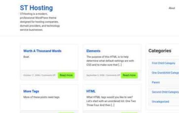 ST Hosting (screenshot desktop)