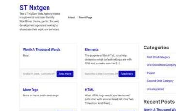 ST Nxtgen (screenshot desktop)