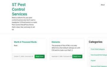 ST Pest Control Services (screenshot desktop)
