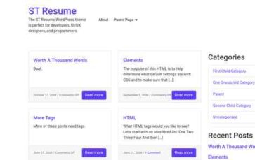 ST Resume (screenshot desktop)