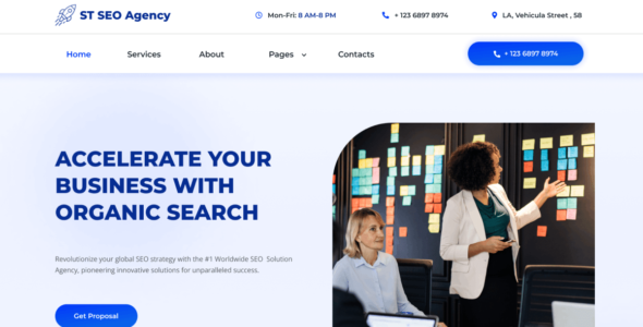 ST Seo Agency (WordPress)